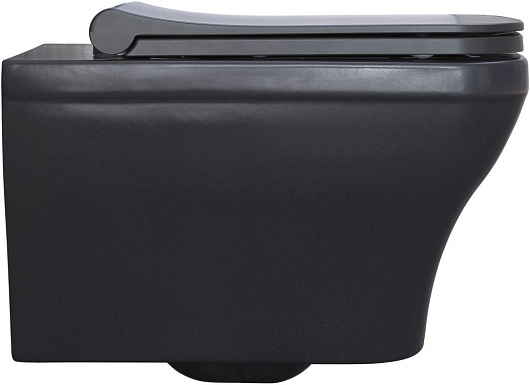 Allen Brau Унитаз подвесной Infinity 4.21011.AN антрацит с крышкой 4.21014.AN – картинка-13
