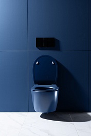 Allen Brau Чаша подвесного унитаза Fantasy 4.11004.ID индиго – фотография-10