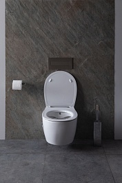 Allen Brau Чаша подвесного унитаза Fantasy 4.11HC1.20 белый глянец – фотография-3