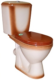 Rosa Унитаз-компакт Лира коричневый – фотография-1