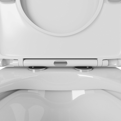 Owl 1975 Унитаз безободковый Curve Cirkel-H с сиденьем DP микролифт – фотография-4