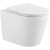 Aquatek Унитаз подвесной Вега AQ1904T-00