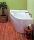 Vagnerplast Экран для ванны Melite L – фотография-5