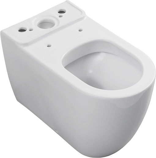 Allen Brau Унитаз напольный Priority 4.31003.20 белый – картинка-9