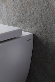 Allen Brau Унитаз подвесной Infinity 4.21004.20 белый глянец с крышкой 4.21010.20 – фотография-10