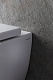 Allen Brau Унитаз подвесной Infinity 4.21004.20 белый глянец с крышкой 4.21010.20 – фотография-33