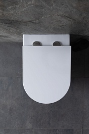 Allen Brau Унитаз с инсталляцией Reality 4.32006.20/8.9466.0.000.000.1 белый глянец – фотография-4