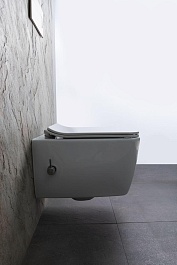 Allen Brau Чаша подвесного унитаза Liberty 4.33009.20 белый – фотография-17