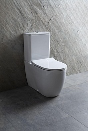 Allen Brau Чаша напольного унитаза Priority 4.31003.20 белый – фотография-17