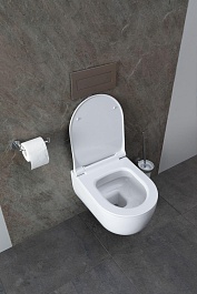 Allen Brau Унитаз подвесной Priority 4.31002.20 белый глянец с крышкой 4.31004.20 – фотография-35