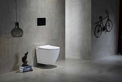 Taliente Унитаз Correto Tornado 3 CR55003 подвесной – фотография-5