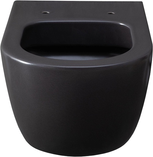 Allen Brau Чаша подвесного унитаза Priority 4.31001.AN антрацит – фотография-4
