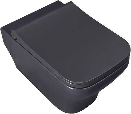 Allen Brau Чаша подвесного унитаза Infinity 4.21011.AN антрацит – фотография-2