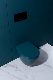 Allen Brau Чаша подвесного унитаза Fantasy 4.11004.PT петроль – фотография-14