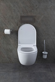 Allen Brau Унитаз с инсталляцией Priority 4.31002.20/8.9466.0.000.000.1 белый глянец – фотография-16