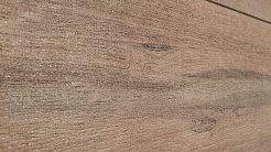 0 David – фотография-1