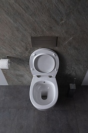 Allen Brau Унитаз подвесной Fantasy 4.11HC1.20 белый глянец с крышкой 4.11005.20 – фотография-10