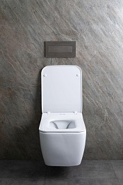 Allen Brau Чаша подвесного унитаза Liberty 4.33007.20 белый – фотография-28