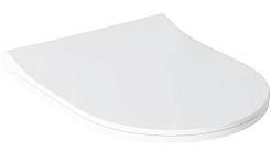 Allen Brau Крышка-сиденье Priority 4.31004.20 белый глянец – фотография-1