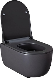 Allen Brau Унитаз подвесной Priority 4.31002.AN антрацит с крышкой 4.31004.AN – фотография-10