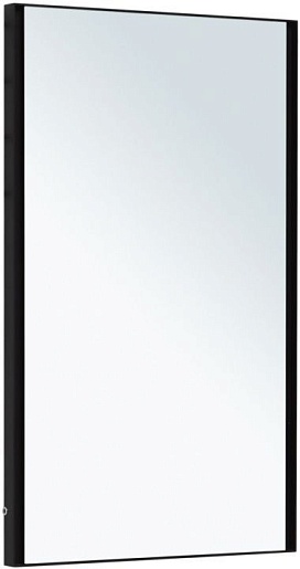 Allen Brau Зеркало Infinity 60/100 1.21019.BL черный – фото-1