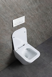 Allen Brau Унитаз подвесной Liberty 4.33012.20 белый с крышкой 4.33015.20 – фотография-7