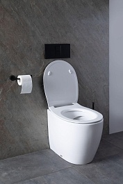 Allen Brau Унитаз приставной Fantasy 4.11007.20 белый глянец – фотография-30