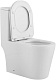Azario Унитаз-моноблок Nimbus AZ-6080-AP безободковый с бачком с сиденьем микролифт белый – картинка-15