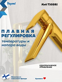Teymi Смеситель для раковины чаши Kati T10281 золото – фотография-4