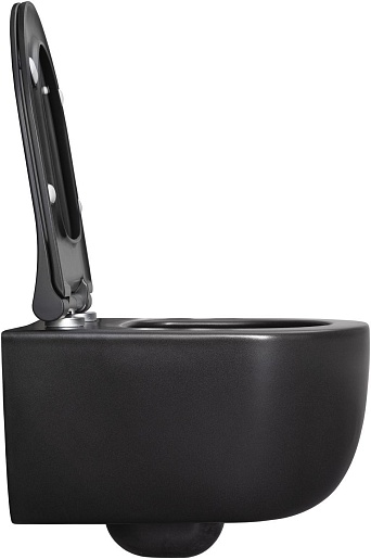 Allen Brau Чаша подвесного унитаза Priority 4.31002.31 чёрный матовый – картинка-11