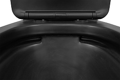 Azario Унитаз-компакт Black Queen AZ-8380 безободковый с бачком с сиденьем микролифт черный матовый – фотография-12
