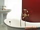 Webert Смеситель Alexandra AL720201010 золото, для ванны с душем – фотография-5