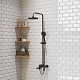 Paini Система душевая Viva Style P4YO687D250F3D110 без термоcтата, поворотный излив, черный – фотография-9
