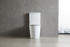 Azario Унитаз-компакт Leo AZ-1253CT безободковый с бачком с сиденьем микролифт белый – фотография-5