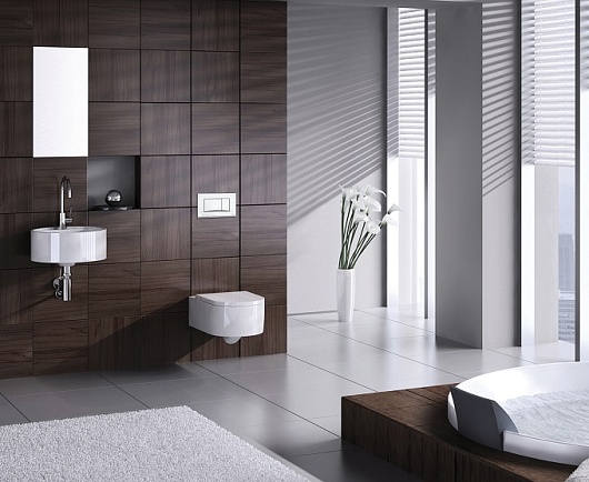 Schwab Кнопка смыва Dots Duo матовый хром – картинка-3