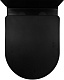 Azario Унитаз-компакт Black Queen AZ-8380 безободковый с бачком с сиденьем микролифт черный матовый – фотография-26