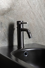 Allen Brau Смеситель для биде Priority 5.31A04-MG (с донным клапаном) графит браш – фотография-3