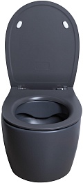 Allen Brau Унитаз подвесной Fantasy 4.11004.AN антрацит с крышкой 4.11005.AN – фотография-11