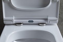 Allen Brau Чаша напольного унитаза Priority 4.31003.20 белый – фотография-22