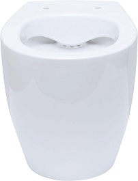 Allen Brau Чаша приставного унитаза Fantasy 4.11007.20 белый глянец – фотография-4