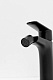 Allen Brau Смеситель для биде Eclipse 2.0 5.E1A10-31 черный матовый – фотография-21