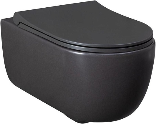 Allen Brau Чаша подвесного унитаза Priority 4.31001.AN антрацит – фото-1