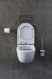 Allen Brau Унитаз с инсталляцией Priority 00301296/8.9466.0.000.000.1 белый глянец – фотография-16