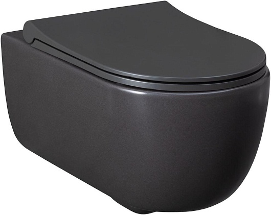 Allen Brau Унитаз подвесной Priority 4.31001.AN антрацит с крышкой 4.31004.AN – картинка-11