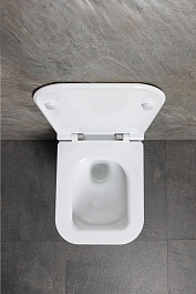 Allen Brau Унитаз подвесной Liberty 4.33011.20 белый с крышкой 4.33015.20 – фотография-5