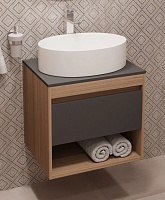 Teymi Тумба с раковиной Ritta 55 дуб эврика/графит матовый подвесная T60523 раковина T50502