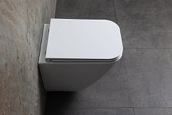 Allen Brau Унитаз подвесной Liberty 4.33012.20 белый с крышкой 4.33015.20 – фотография-6