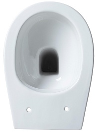 Allen Brau Чаша приставного унитаза Fantasy 4.11007.20 белый глянец – фотография-15