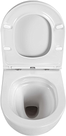 Aquatek Унитаз подвесной Европа AQ1900T-00 – фотография-6