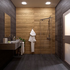 Triton Душевой уголок Дека-хром 100/100 Щ0000056789 – фотография-7